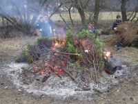 Weihnachtsbaum Verbrennung 2007 01